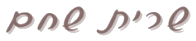 שרית שחם